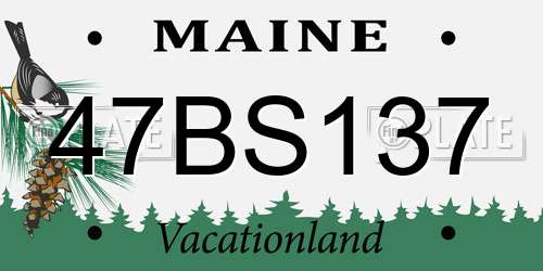 47BS137 Maine License Plate
