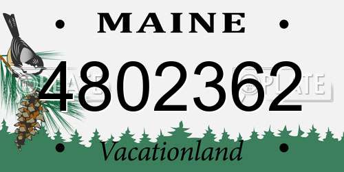 4802362 Maine License Plate