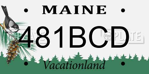 481BCD Maine License Plate