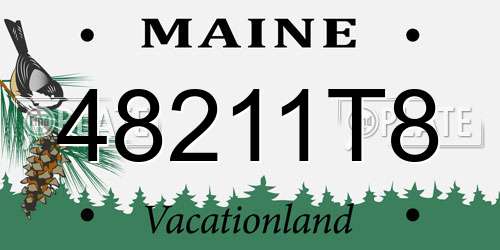 48211T8 Maine License Plate