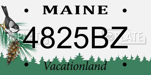 4825BZ Maine License Plate