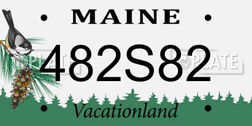 482S82 Maine License Plate