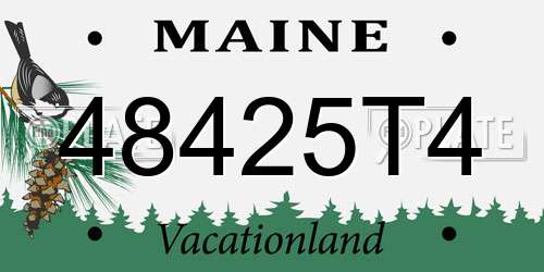 48425T4 Maine License Plate