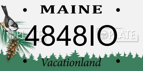 4848IO Maine License Plate