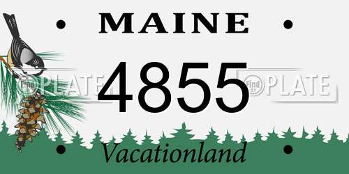 4855 Maine License Plate