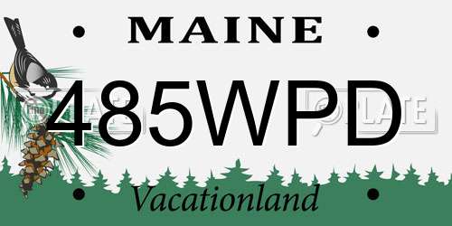 485WPD Maine License Plate