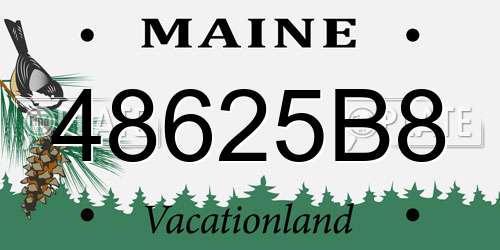 48625B8 Maine License Plate