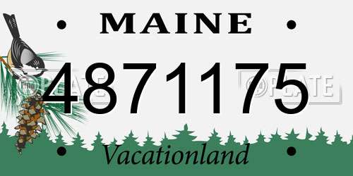 4871175 Maine License Plate