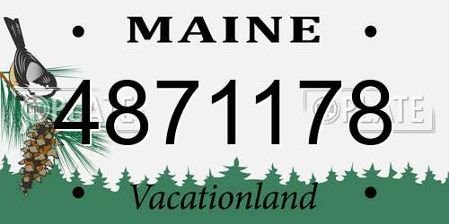 4871178 Maine License Plate