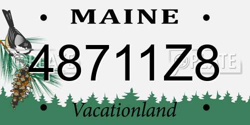 48711Z8 Maine License Plate