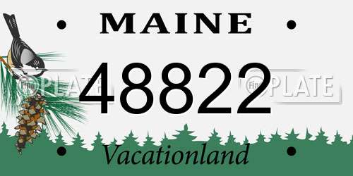 48822 Maine License Plate