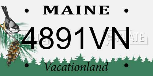 4891VN Maine License Plate