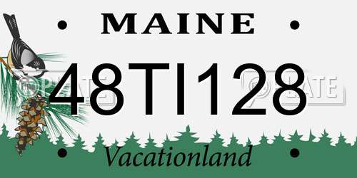 48TI128 Maine License Plate