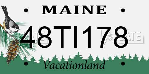 48TI178 Maine License Plate