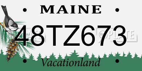 48TZ673 Maine License Plate