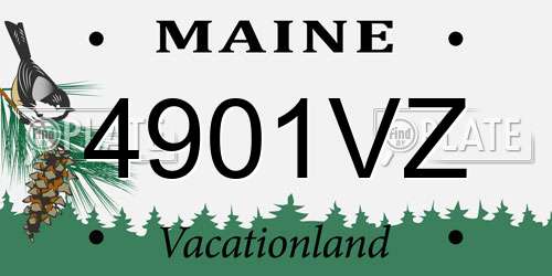 4901VZ Maine License Plate