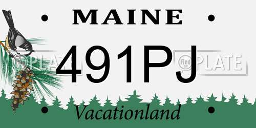 491PJ Maine License Plate