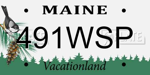 491WSP Maine License Plate