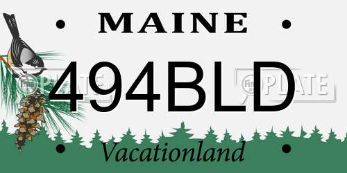 494BLD Maine License Plate