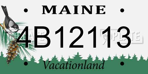 4B12113 Maine License Plate