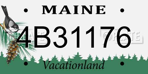 4B31176 Maine License Plate
