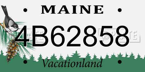 4B62858 Maine License Plate