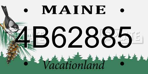 4B62885 Maine License Plate