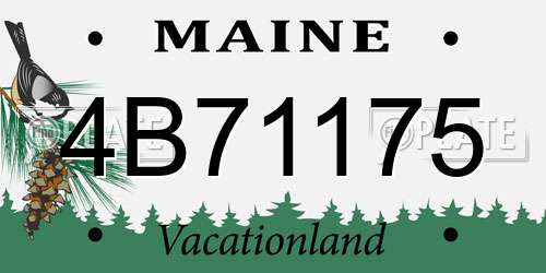 4B71175 Maine License Plate