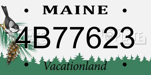 4B77623 Maine License Plate