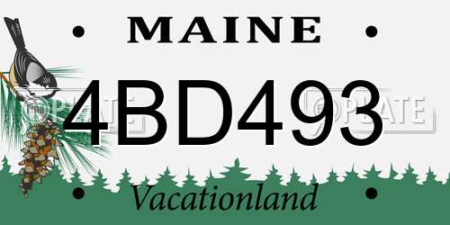 4BD493 Maine License Plate