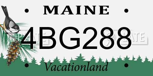 4BG288 Maine License Plate