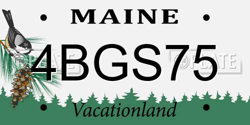 4BGS75 Maine License Plate