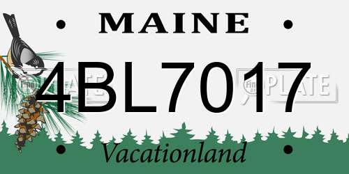 4BL7017 Maine License Plate