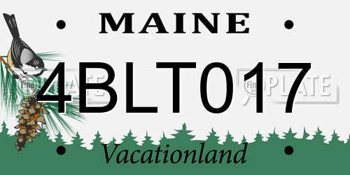 4BLT017 Maine License Plate