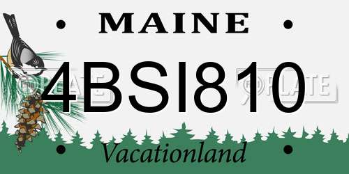 4BSI810 Maine License Plate