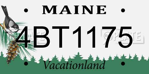4BT1175 Maine License Plate