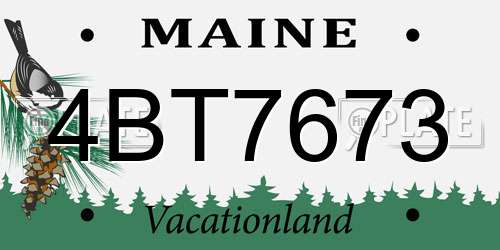 4BT7673 Maine License Plate