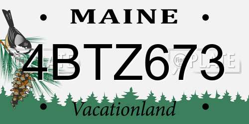 4BTZ673 Maine License Plate