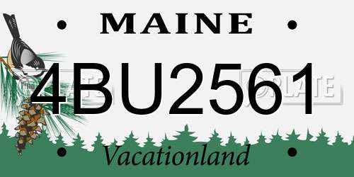 4BU2561 Maine License Plate
