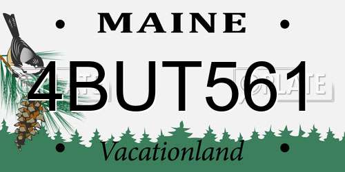 4BUT561 Maine License Plate