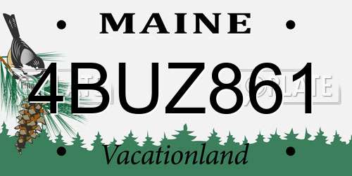4BUZ861 Maine License Plate