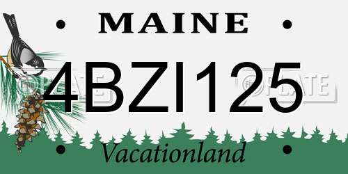 4BZI125 Maine License Plate