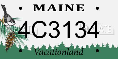4C3134 Maine License Plate