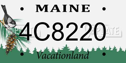 4C8220 Maine License Plate