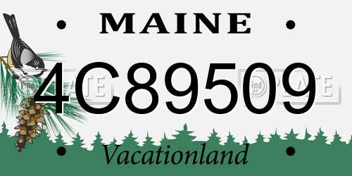 4C89509 Maine License Plate