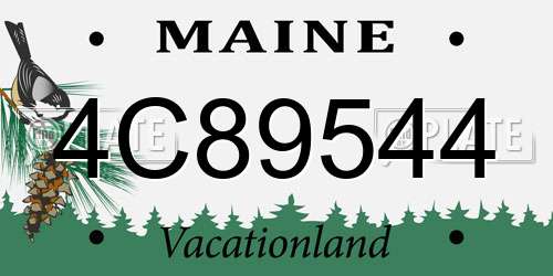 4C89544 Maine License Plate