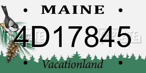 4D17845 Maine License Plate