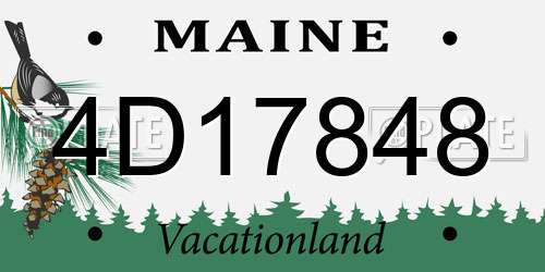 4D17848 Maine License Plate
