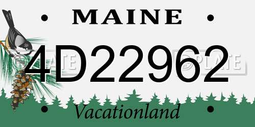 4D22962 Maine License Plate