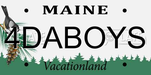 4DABOYS Maine License Plate